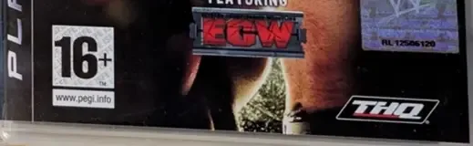 WWE SmackDown vs. Raw 2009, the PEGI square on its front