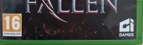 Lords of the Fallen, the PEGI square on its front