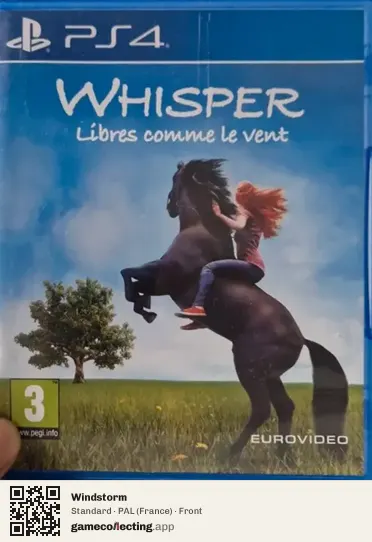 Windstorm PlayStation 4, France box front