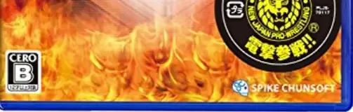Fire Pro Wrestling World, the CERO letter on its front