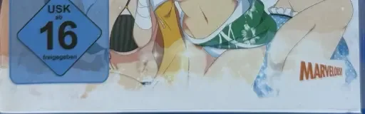 Senran Kagura: Estival Versus, the USK square on its front
