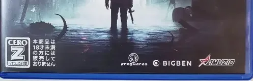 Sinking City, the CERO letter on its front