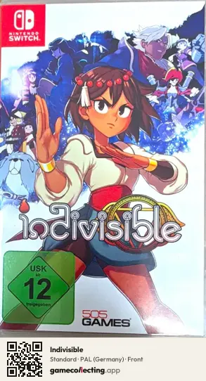 Indivisible Nintendo Switch, Germany box front