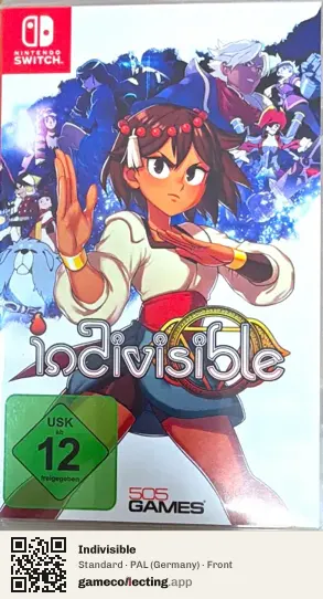 Indivisible Nintendo Switch, Germany box front