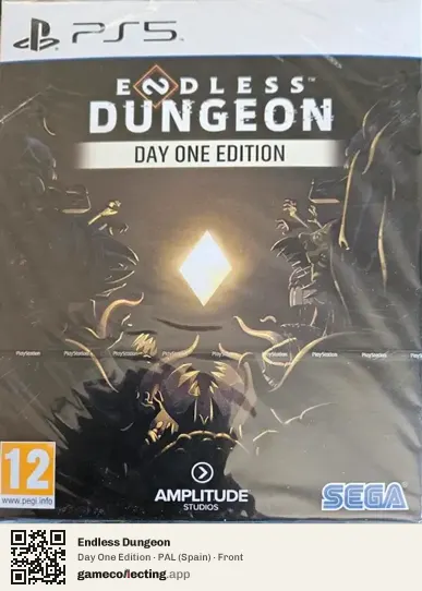 Endless Dungeon PlayStation 5, Spain box front