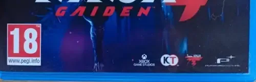 Ninja Gaiden 4, the PEGI square on its front