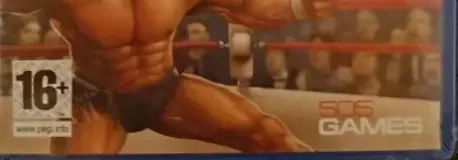 Fire Pro Wrestling Returns, the PEGI square on its front