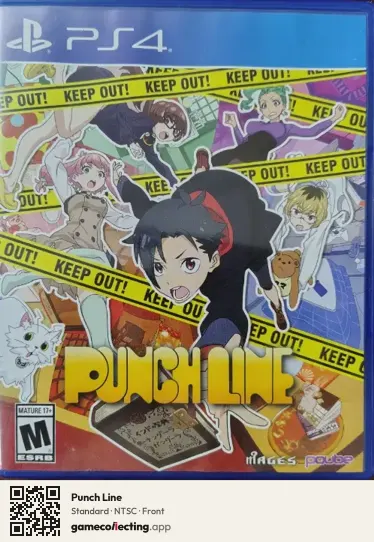 Punch Line PlayStation 4, NTSC box front
