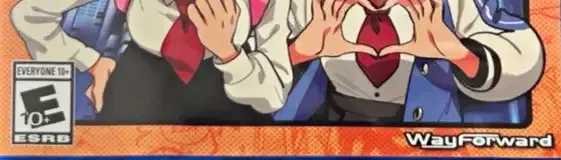 River City Girls, the ESRB box on its front
