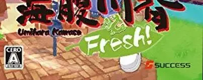 Umihara Kawase Fresh!, the CERO letter on its front