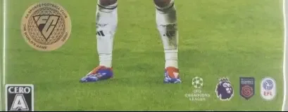 EA Sports FC 25, the CERO letter on its front