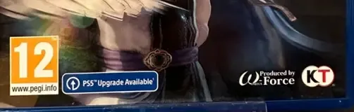 Dynasty Warriors 9 Empires, the PEGI square on its front
