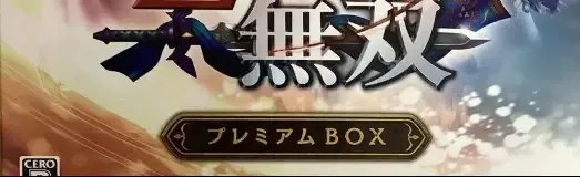 Hyrule Warriors, the CERO letter on its front