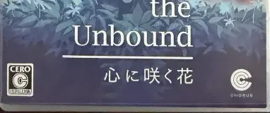 A Space for the Unbound, the CERO letter on its front
