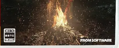 Dark Souls Remastered, the CERO letter on its front