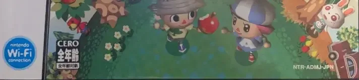 Animal Crossing: Wild World, the CERO letter on its front