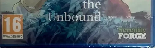 A Space for the Unbound, the PEGI square on its front