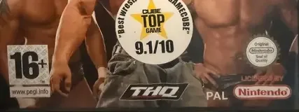 WWE Day of Reckoning, the PEGI square on its front