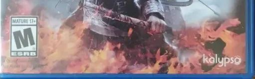 Vikings: Wolves of Midgard, the ESRB box on its front
