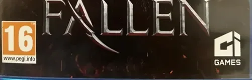Lords of the Fallen, the PEGI square on its front