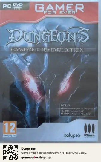 Dungeons Computer, France box front
