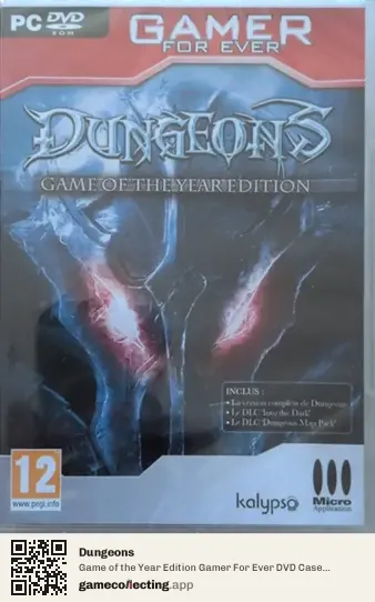 Dungeons Computer, France box front