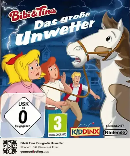 Bibi & Tina: Das große Unwetter Nintendo DS, Germany box front