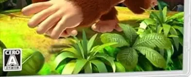 Donkey Kong Country Returns HD, the CERO letter on its front