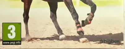 My Little Riding Champion, the PEGI square on its front