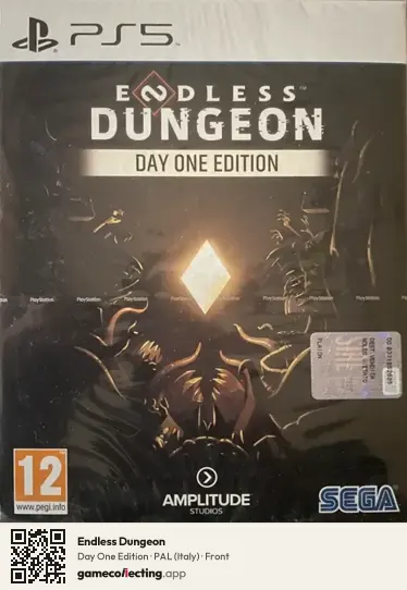 Endless Dungeon PlayStation 5, Italy box front