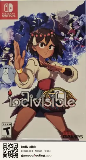 Indivisible Nintendo Switch, NTSC box front