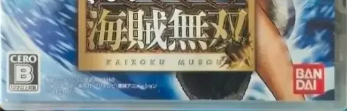 One Piece: Pirate Warriors, the CERO letter on its front