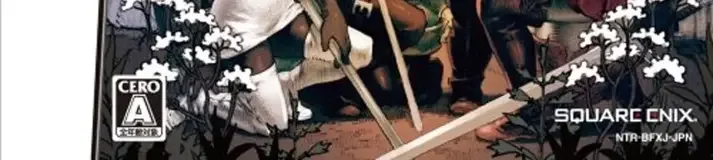 Final Fantasy: The 4 Heroes of Light, the CERO letter on its front