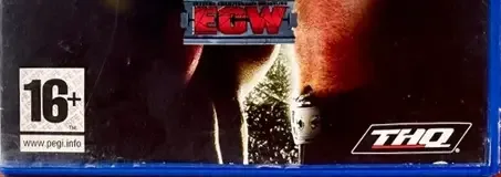 WWE SmackDown vs. Raw 2009, the PEGI square on its front