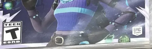 Fortnite, the ESRB box on its front
