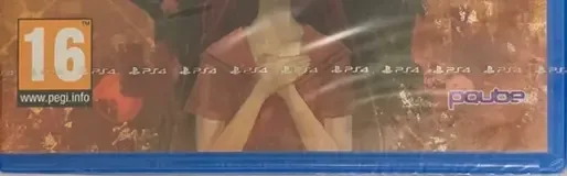 Steins;Gate 0, the PEGI square on its front
