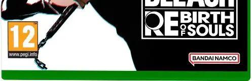 Bleach: Rebirth of Souls, the PEGI square on its front