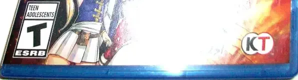 Fairy Tail 2, the ESRB box on its front