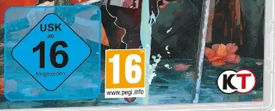 Fate/Samurai Remnant, the USK square on its front