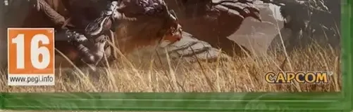 Monster Hunter Wilds, the PEGI square on its front