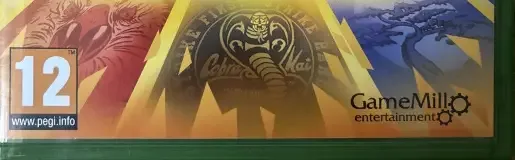 Cobra Kai 2: Dojos Rising, the PEGI square on its front