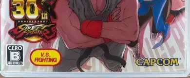 Ultra Street Fighter II: The Final Challengers, the CERO letter on its front