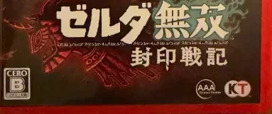 Hyrule Warriors: Age of Imprisonment, the CERO letter on its front