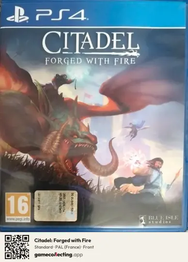 Citadel: Forged with Fire PlayStation 4, France box front