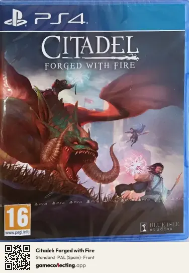 Citadel: Forged with Fire PlayStation 4, Spain box front
