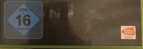 Dark Souls II, the USK square on its front