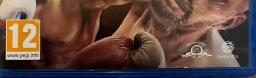 Big Rumble Boxing: Creed Champions, the PEGI square on its front