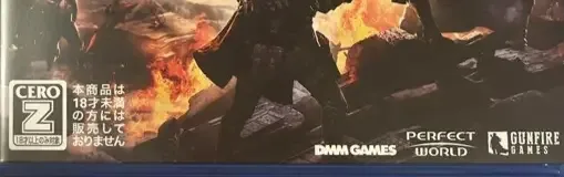 Remnant: From the Ashes, the CERO letter on its front