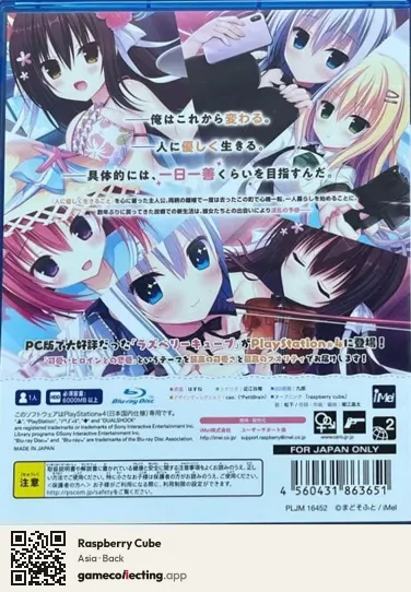 Raspberry Cube PlayStation 4, Asia box back