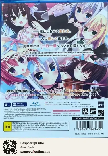 Raspberry Cube PlayStation 4, Asia box back